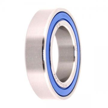 S6008 2rs Rollway Stainless Steel Ball Bearings